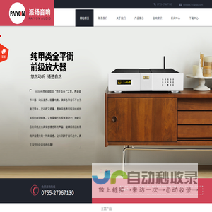 深圳派扬音响有限公司