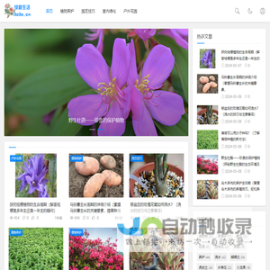 绿意生活_花草养护与园艺知识大全